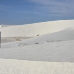 Muzyczne podróże przez świat. Dzika natura USA. Cz. 2 - Radio Kielce