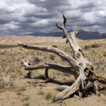 Muzyczne podróże przez świat. Dzika natura USA. Cz. 2 - Radio Kielce