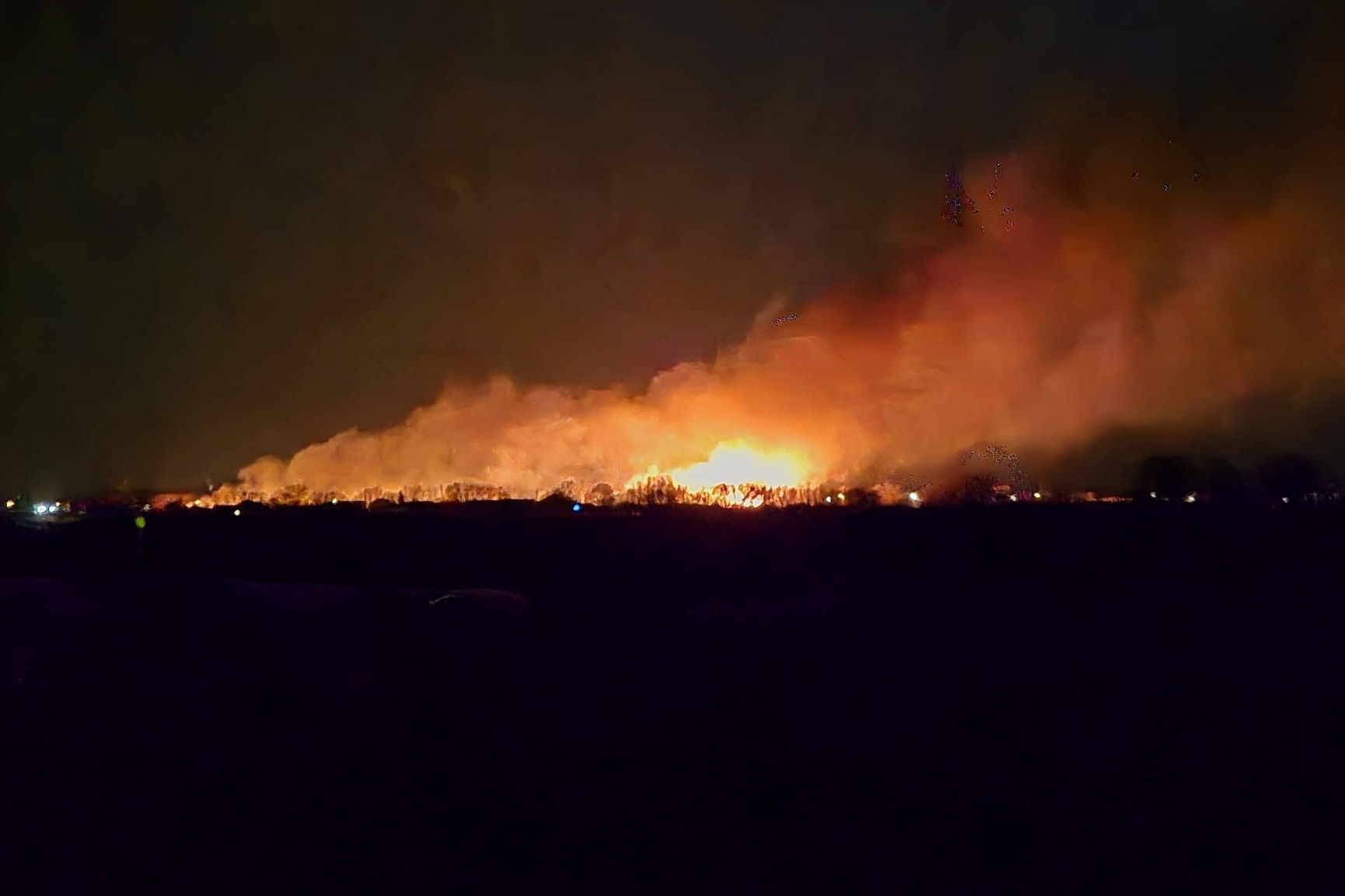Groźne pożary traw w regionie. Dziesiątki razy wyły strażackie syreny