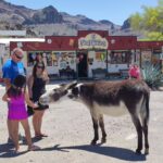 Muzyczne podróże przez świat. Dzika natura USA. Cz.1 - Radio Kielce
