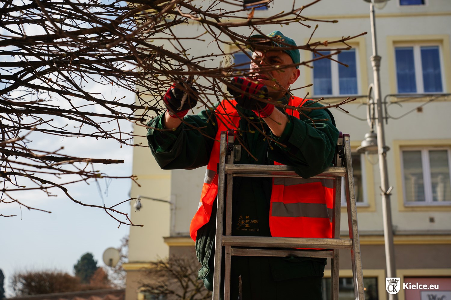 Miasto porządkuje roślinność w centrum