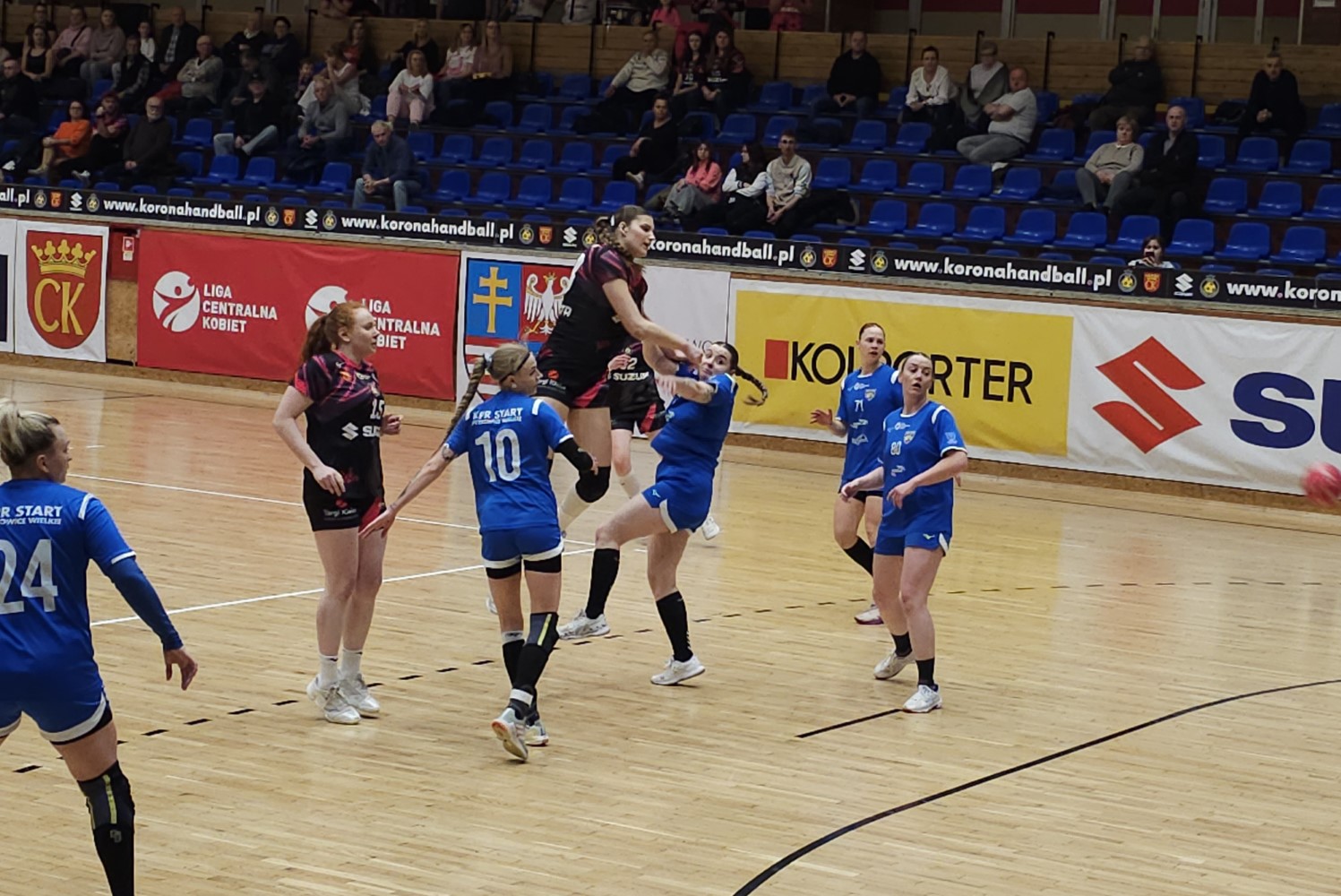 Pewne zwycięstwo Koroneczek