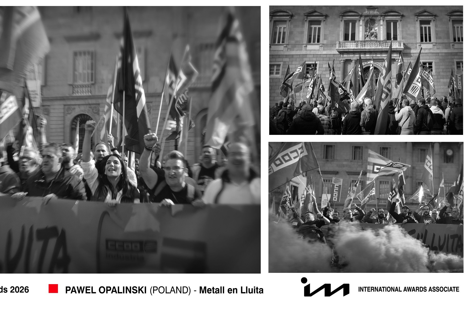 Fot. Izabela Opalińska