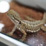 21.03.2026. Kielce. Hala Legionów. Targi Minerałów GeoExpo / Fot. Wiktor Taszłow - Radio Kielce