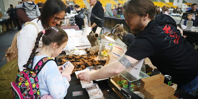 21.03.2026. Kielce. Hala Legionów. Targi Minerałów GeoExpo / Fot. Wiktor Taszłow - Radio Kielce