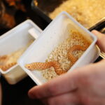 21.03.2026. Kielce. Hala Legionów. Targi Minerałów GeoExpo / Fot. Wiktor Taszłow - Radio Kielce