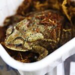 21.03.2026. Kielce. Hala Legionów. Targi Minerałów GeoExpo / Fot. Wiktor Taszłow - Radio Kielce