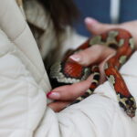 21.03.2026. Kielce. Hala Legionów. Targi Minerałów GeoExpo / Fot. Wiktor Taszłow - Radio Kielce