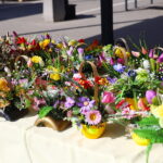 W Górnie zapachniało Wielkanocą - Radio Kielce 21.03.2026. Górno. Kiermasz Wielkanocny / Fot. Wiktor Taszłow - Radio Kielce