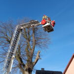 Odnawiają stare gniazda oczekując na bociany - Radio Kielce