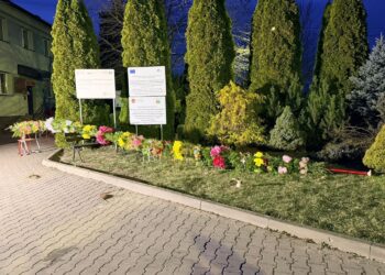 Gnojno. Palma wielkanocna / Fot. Fot. Łukasz Chodór