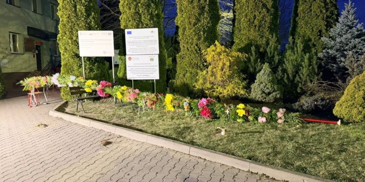 Mieszkańcy Gnojna biją rekord - palma coraz wyższa - Radio Kielce Gnojno. Palma wielkanocna / Fot. Fot. Łukasz Chodór