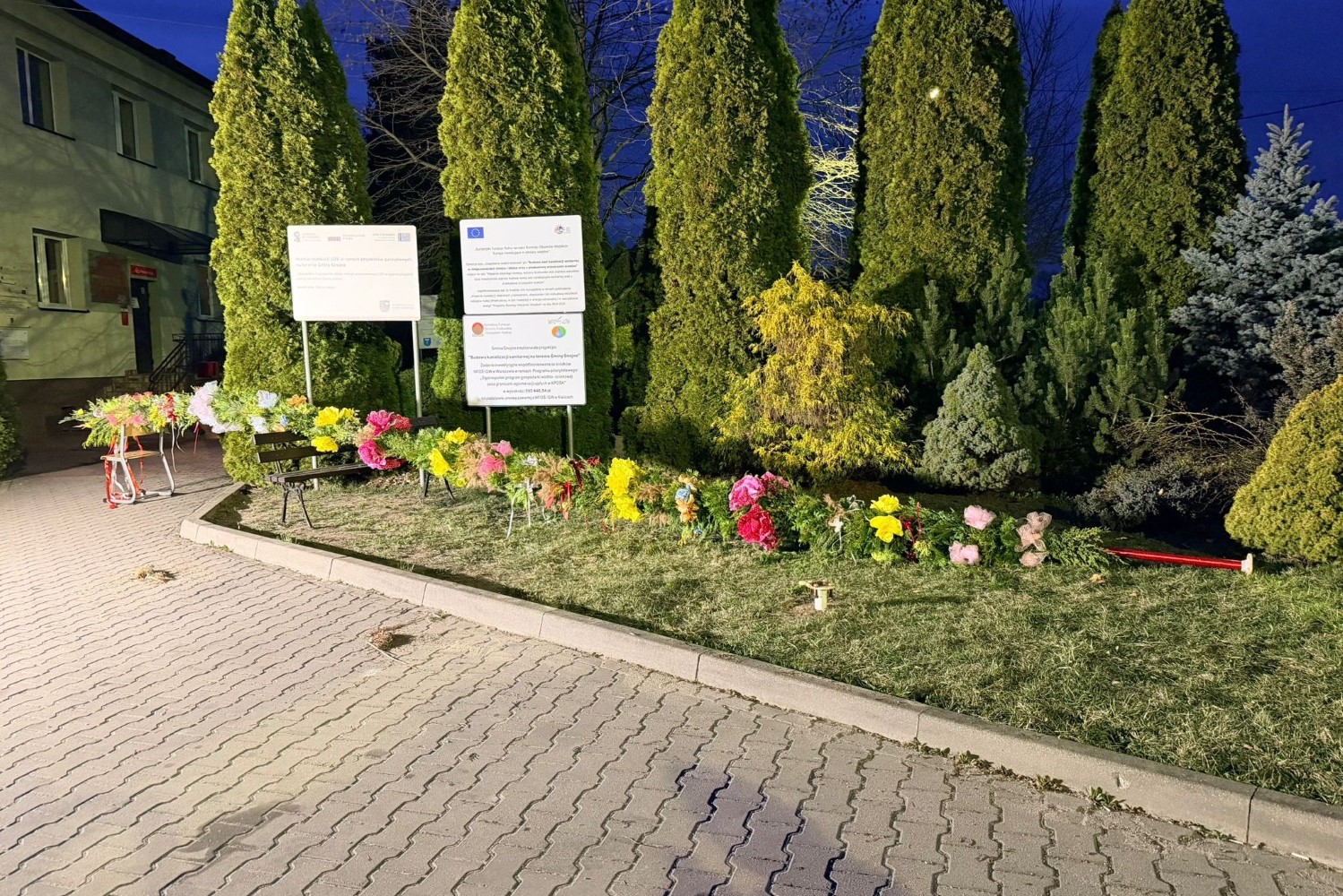 Mieszkańcy Gnojna biją rekord – palma coraz wyższa