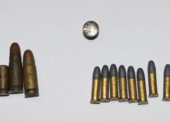 Mieszkaniec gminy Włoszczowa odpowie za kłusownictwo