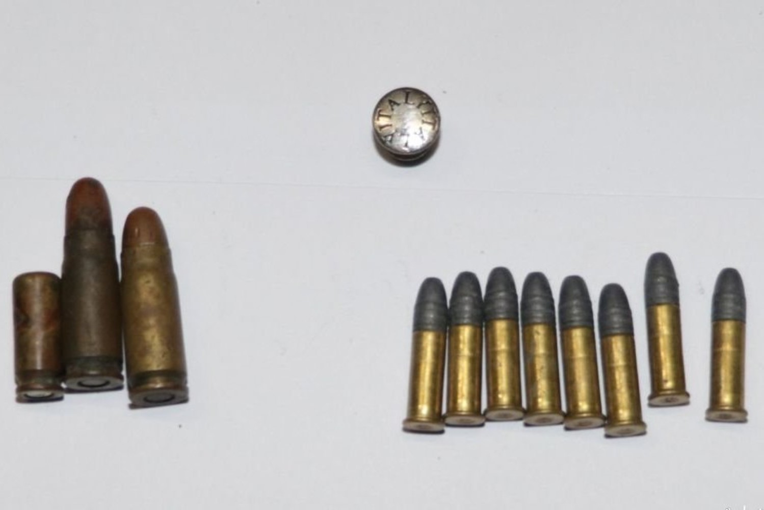 Mieszkaniec gminy Włoszczowa odpowie za kłusownictwo