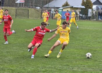 Czarni zremisowali ze Stalą