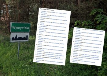 Szukamy właściwej wioski odsłaniając niedoskonałości Internetu