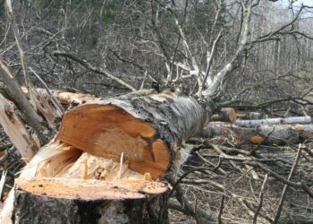 Ruszyły prace przy obwodnicy. Wiemy, kiedy pojadą nią samochody