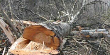 Ruszyły prace przy obwodnicy. Wiemy, kiedy pojadą nią samochody