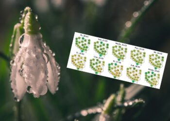 Nastała wiosna. Jest nowa prognoza pogody - Radio Kielce Nastała wiosna. Jest nowa prognoza pogody