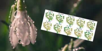 Nastała wiosna. Jest nowa prognoza pogody