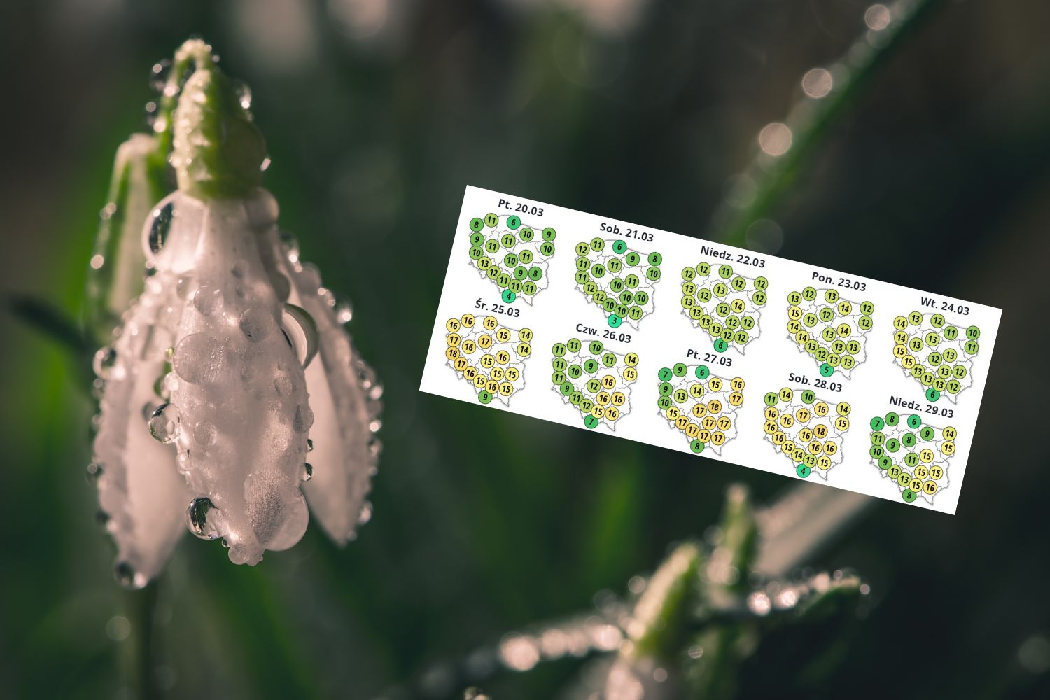 Nastała wiosna. Jest nowa prognoza pogody