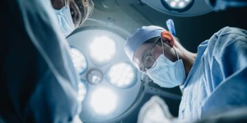 Prawda o narządach pobranych od zmarłych dawców