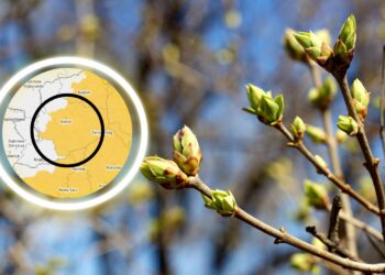 Załamanie pogody. Synoptycy przestrzegają przed przymrozkami