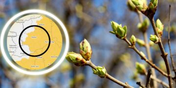 Załamanie pogody. Synoptycy przestrzegają przed przymrozkami