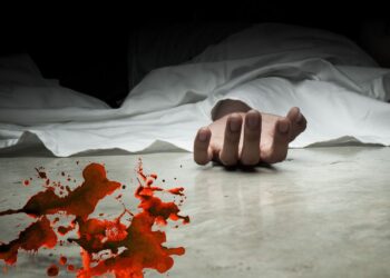 Gang kantorowców - reaktywacja