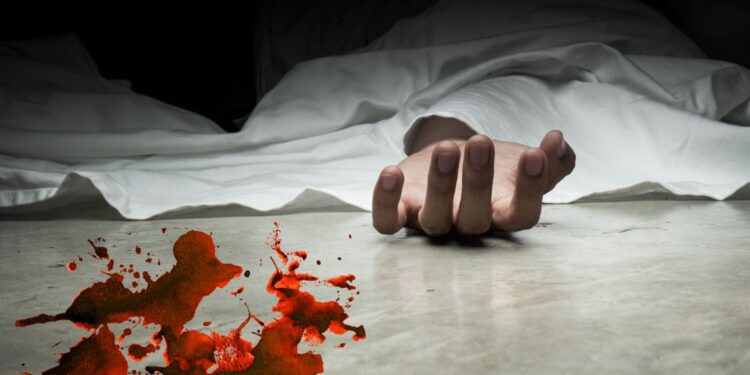 Gang kantorowców - reaktywacja