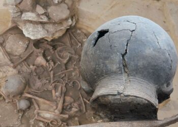 Unikalne znalezisko w świętokrzyskiej ziemi