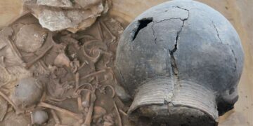 Unikalne znalezisko w świętokrzyskiej ziemi