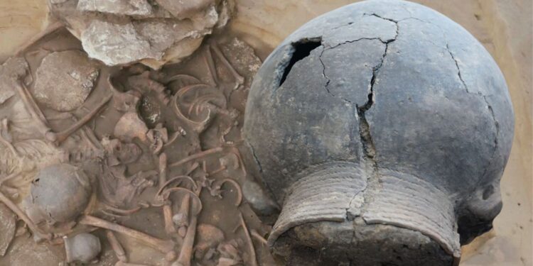 Unikalne znalezisko w świętokrzyskiej ziemi