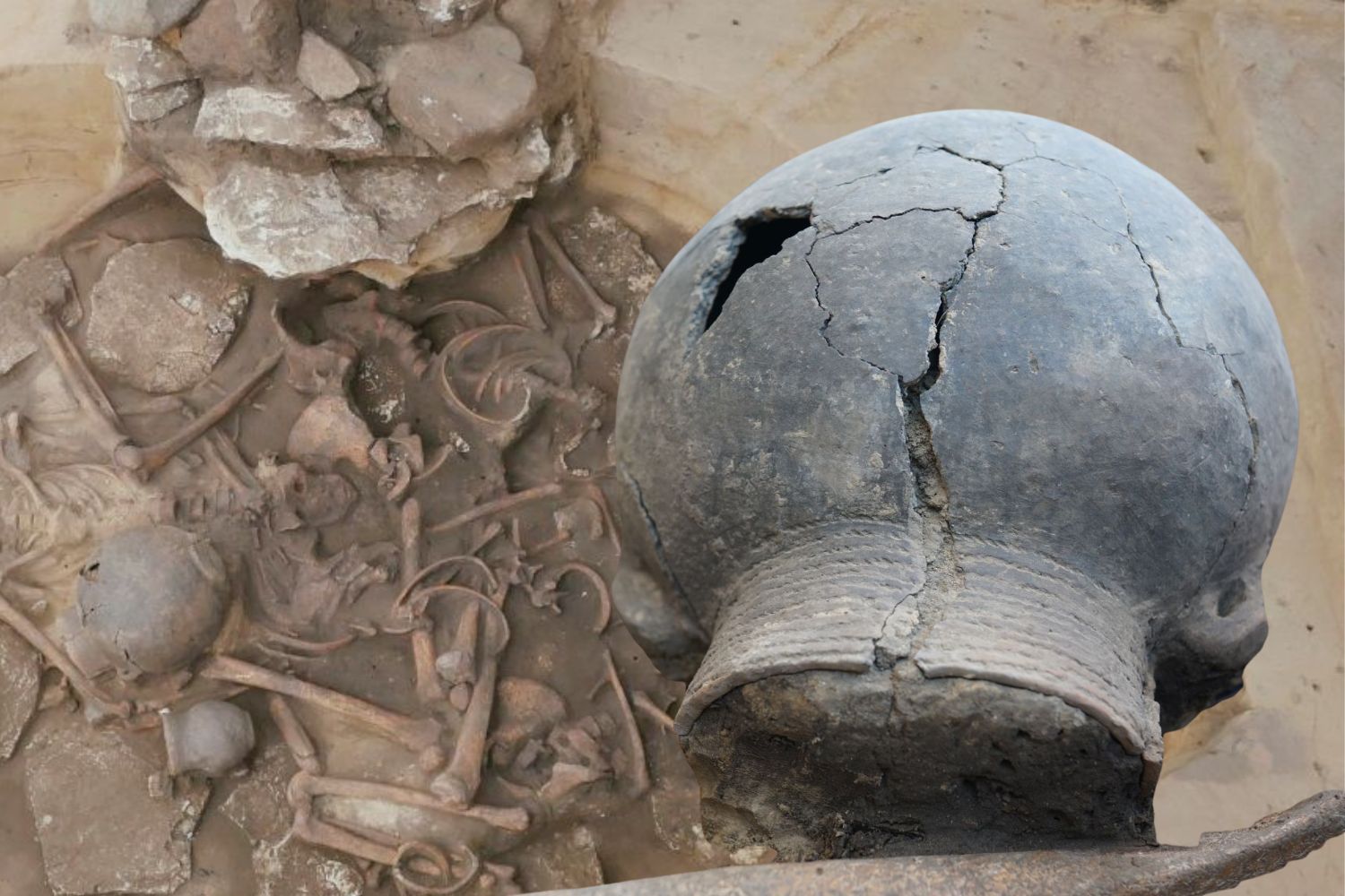 Unikalne znalezisko w świętokrzyskiej ziemi