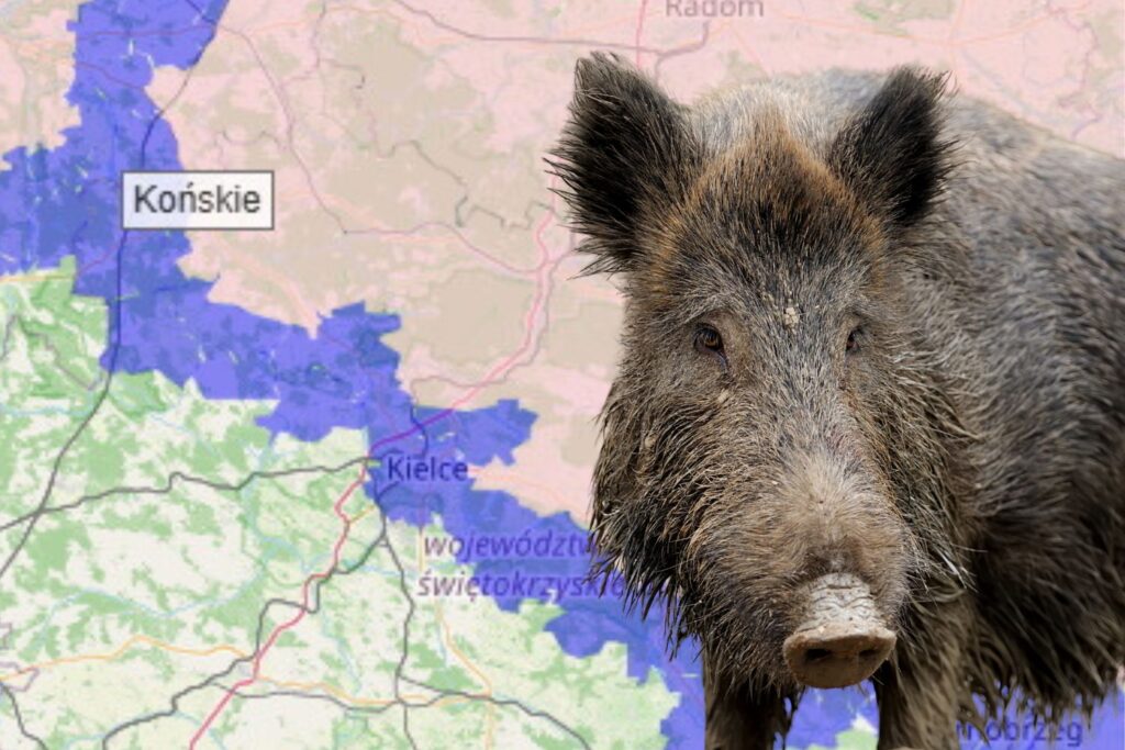 Kontrole na północno-zachodnich granicach świętokrzyskiego - Radio Kielce Kontrole na północno-zachodnich granicach świętokrzyskiego