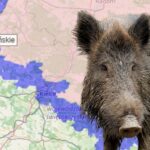 Kontrole na północno-zachodnich granicach świętokrzyskiego