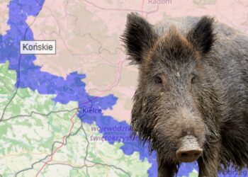 Kontrole na północno-zachodnich granicach świętokrzyskiego