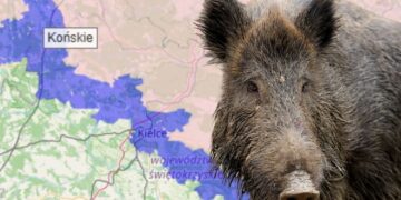 Kontrole na północno-zachodnich granicach świętokrzyskiego