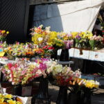 Przedświąteczne zakupy na kieleckich bazarach - Radio Kielce