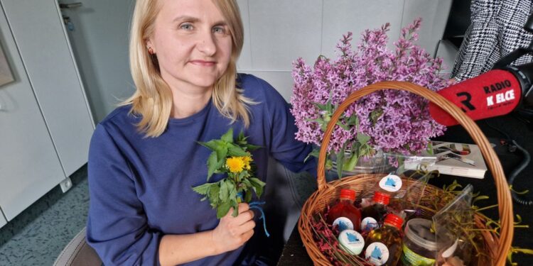 Warto sięgnąć po pokrzywę, mniszka czy jaskółcze ziele - Radio Kielce Warto sięgnąć po pokrzywę, mniszka czy jaskółcze ziele