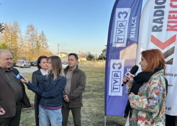 INTERWENCJA. Dziki niszczą uprawy, rolnicy są bezradni