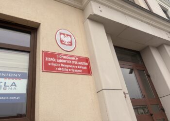 Nowy zespół sądowych ekspertów przyspieszy sprawy rodzinne