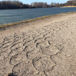 09.03.2026. Kielce. Ścieżka rowerowa wokół zalewu kieleckiego / Fot. Wiktor Taszłow - Radio Kielce