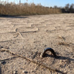 Droga wokół zalewu bez zmian. Czy doczeka się rewitalizacji?