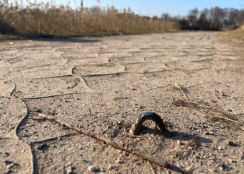 Droga wokół zalewu bez zmian. Czy doczeka się rewitalizacji?