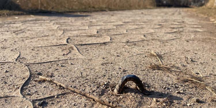 Droga wokół zalewu bez zmian. Czy doczeka się rewitalizacji?