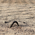 09.03.2026. Kielce. Ścieżka rowerowa wokół zalewu kieleckiego / Fot. Wiktor Taszłow - Radio Kielce