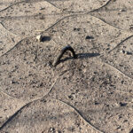 09.03.2026. Kielce. Ścieżka rowerowa wokół zalewu kieleckiego / Fot. Wiktor Taszłow - Radio Kielce