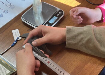 Ornitologiczna przygoda kieleckich uczniów